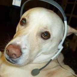 Rinz_CSGO