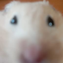Mister_Xama