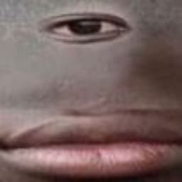 Djibri14