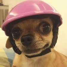 Super_Doge2