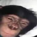 mainvlad