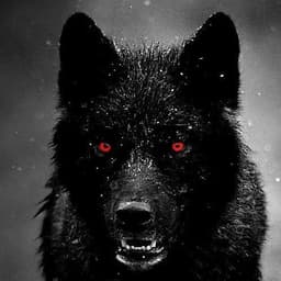 LoneWolf189
