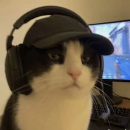 MelloMan96