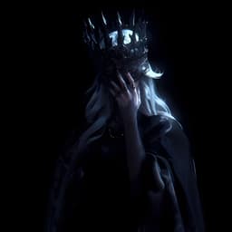 shinsetsuwhy