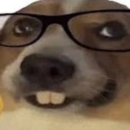 Meinoce