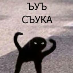 _mol_kill_