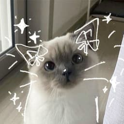 arishka_ru