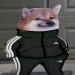 OCIEC_ALFA