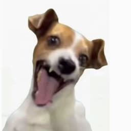 Faktzy
