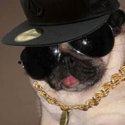 Moke_Lester