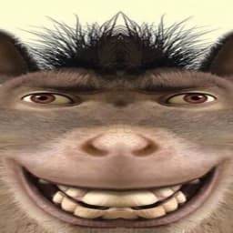 ZHOMAZ