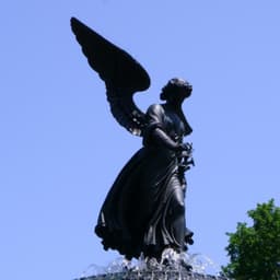 SILVERNBLAC