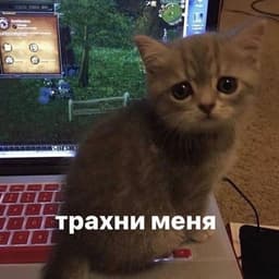 d0ntdanya