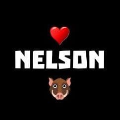 Nels0n_Q
