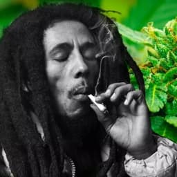 bobmarley421