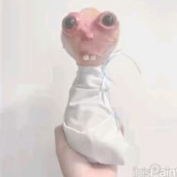 Pidir4ik