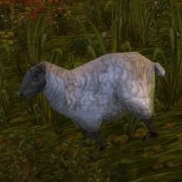 _Sheepy_