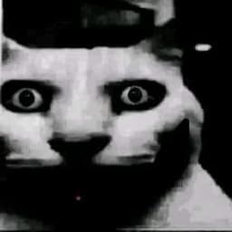 fARS-_
