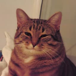 peter_puker