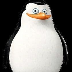 Radovooy