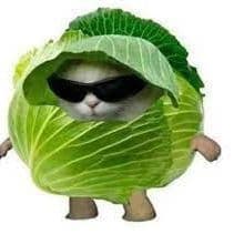 patta_gobi