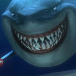 sharkz