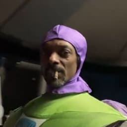 dllninja