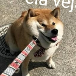 Zanppa