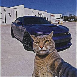 hawwk7