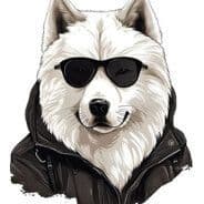 Arkyzekkk