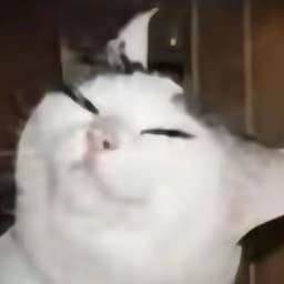 lxdad666