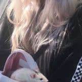 dolly-_-