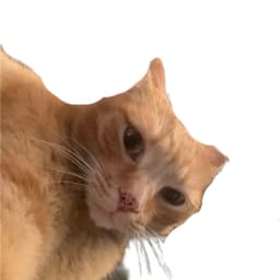 1Sluv