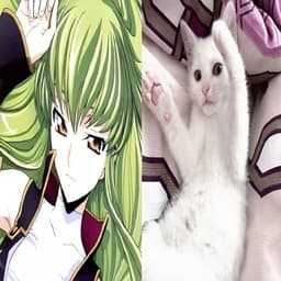 karyolemma