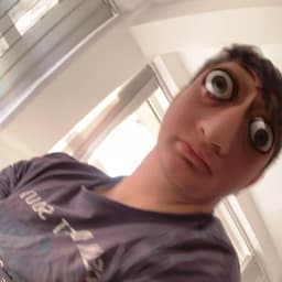 LeonardinosZ