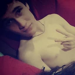 Hachece