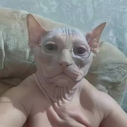 Hulumuluku