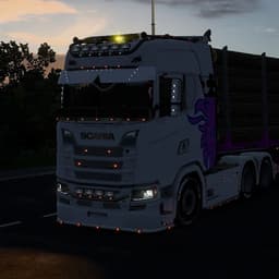 LKWFahrer_
