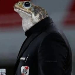 peppardo