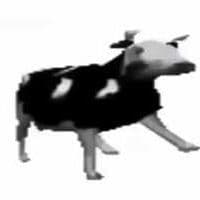 Cowien