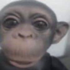myrelun