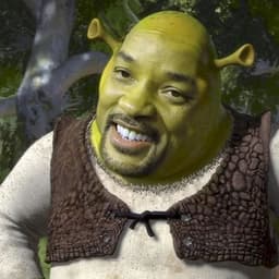 fidailML