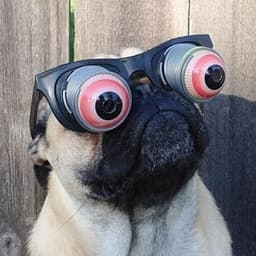 soooooqa-