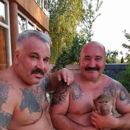 voicu69