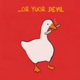 Texbirds