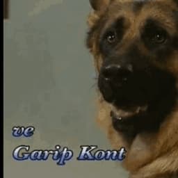 GARIPKONT0
