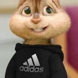 oleg3000pro