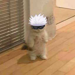 Rimuru24
