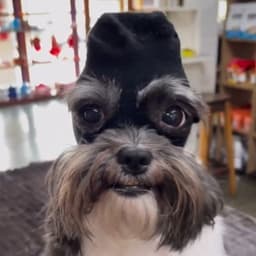KyleeRaidy