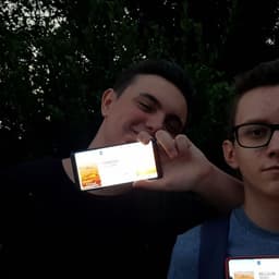 lolgica